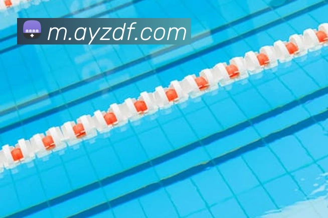 巅峰国际平台生态图