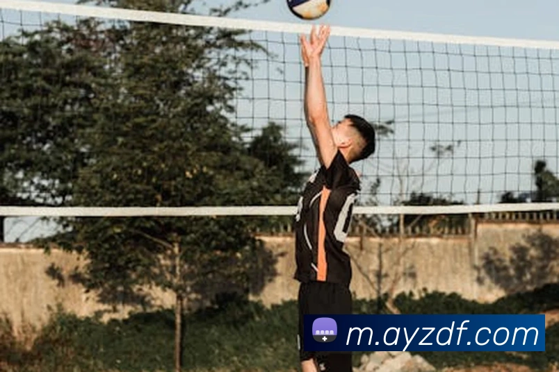 巅峰国际APP 封面图